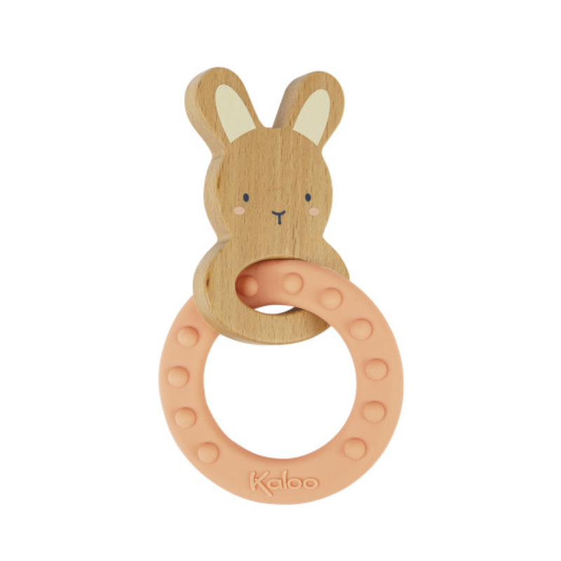 ANNEAU DE DENTITION