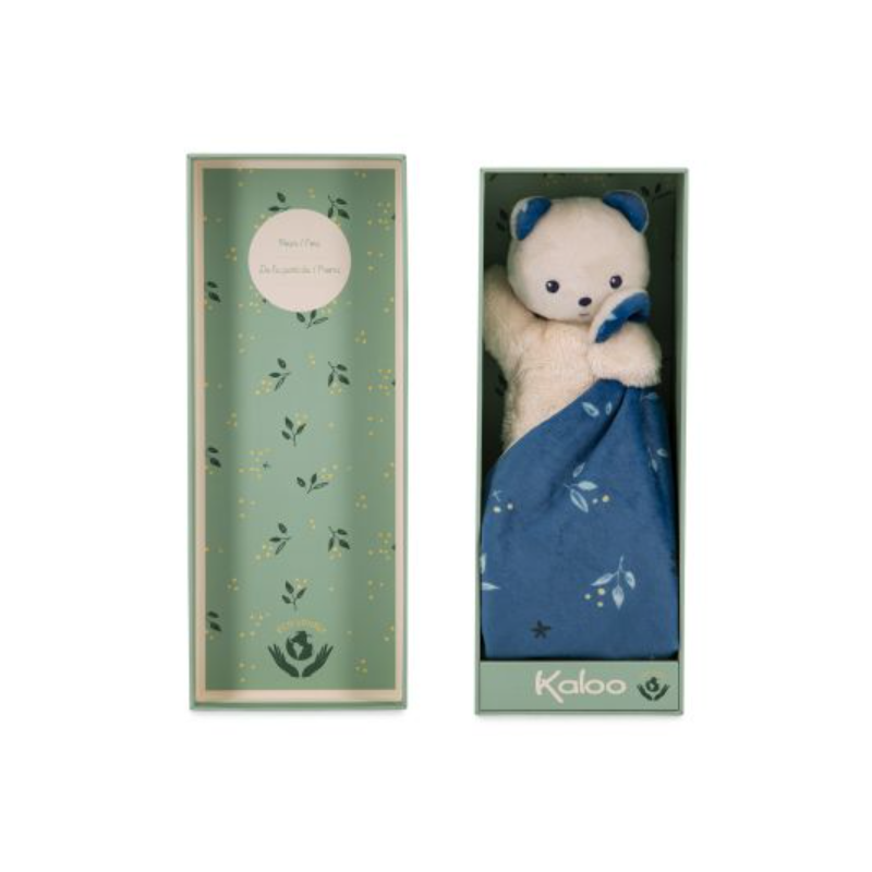 DOUDOU OURS NOCTAMBULE