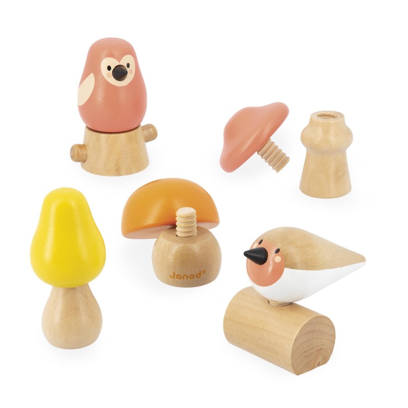 OISEAUX & CHAMPIGNONS A VISSER