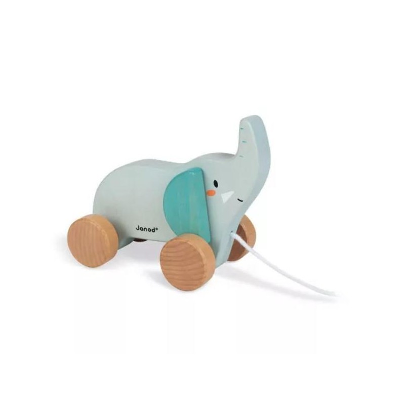 ELEPHANT A PROMENER