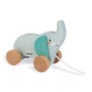 ELEPHANT A PROMENER