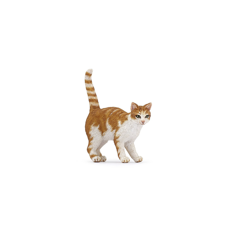 CHAT ROUX