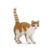 CHAT ROUX