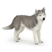 HUSKY DE SIBERIE