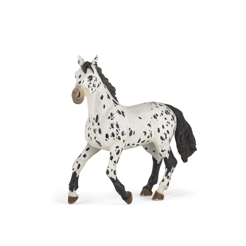 CHEVAL APPALOOSA NOIR