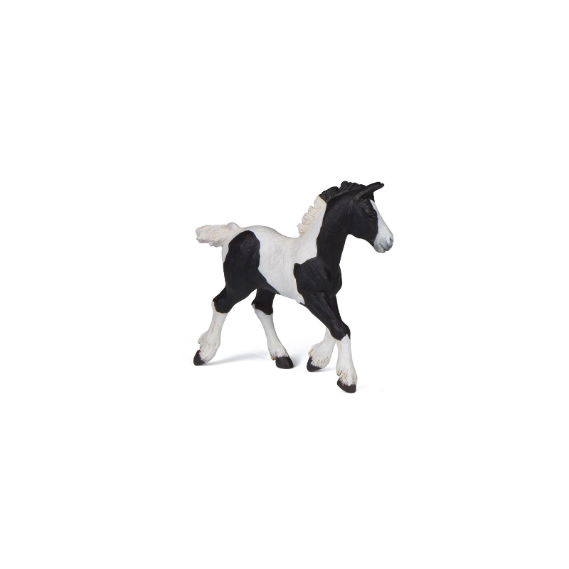 POULAIN COB PIE NOIR
