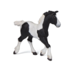 POULAIN COB PIE NOIR