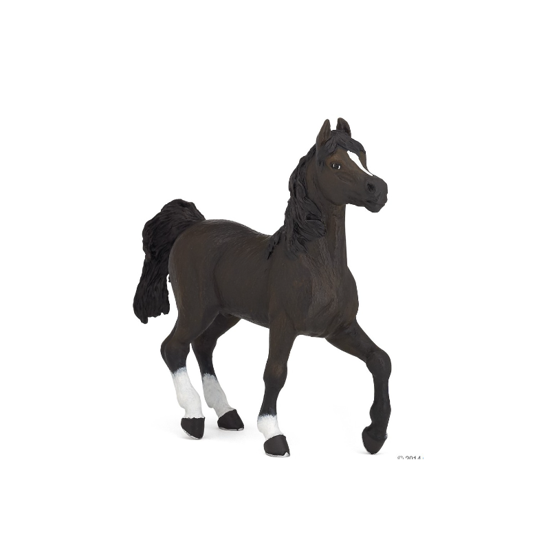 CHEVAL ARABE