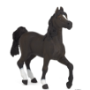 CHEVAL ARABE