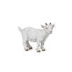 CHEVREAU BLANC