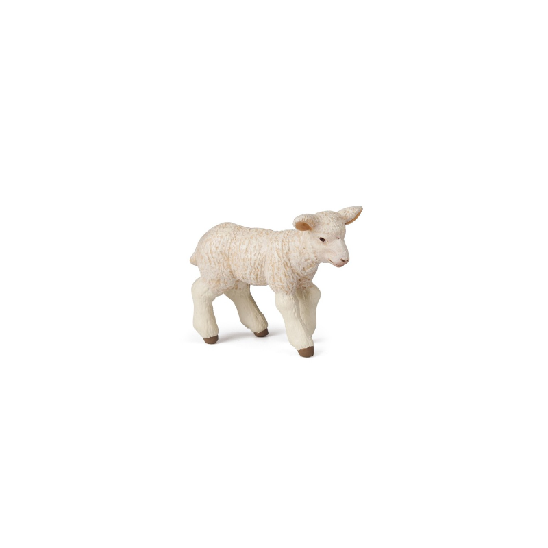 AGNEAU