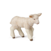 AGNEAU