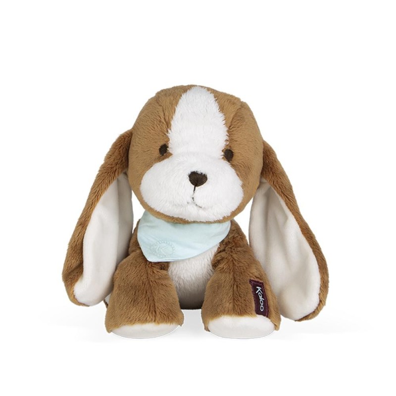 CHIEN TIRAMISU 17CM