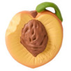 Palm Peach Anneau de Dentition