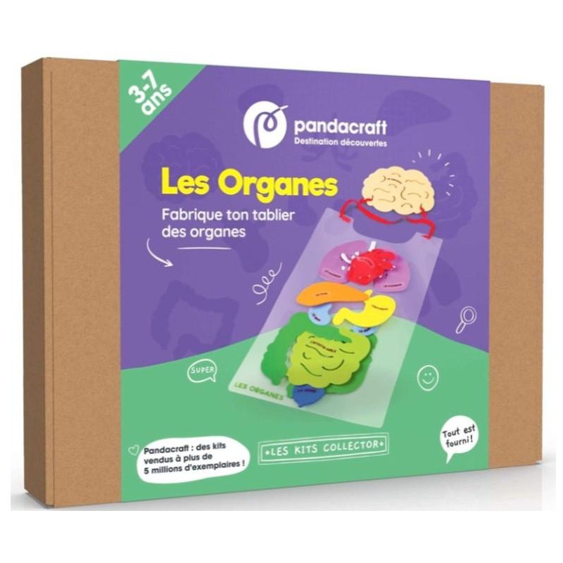 KIT LES ORGANES 3-7ANS