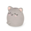 GOMME PARFUMEE CHAT