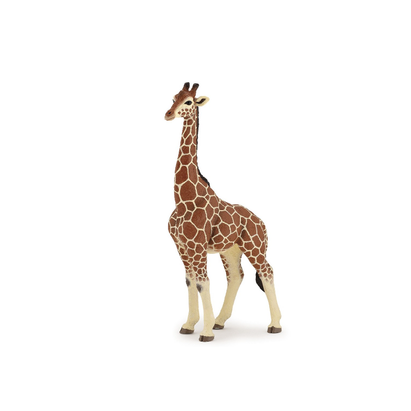 GIRAFE MALE
