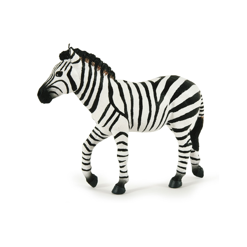 ZEBRE MALE