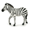 ZEBRE MALE