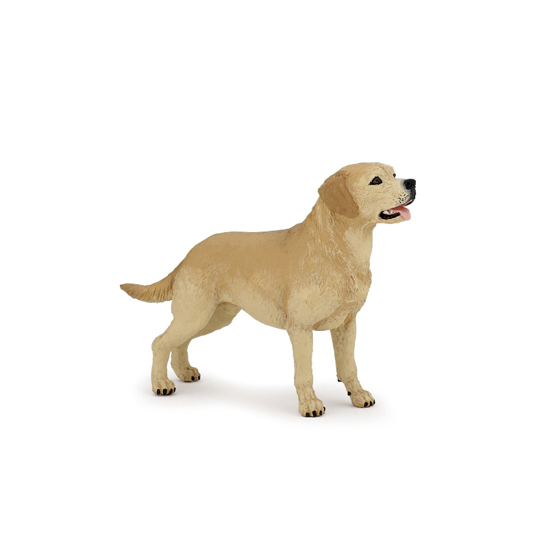 LABRADOR