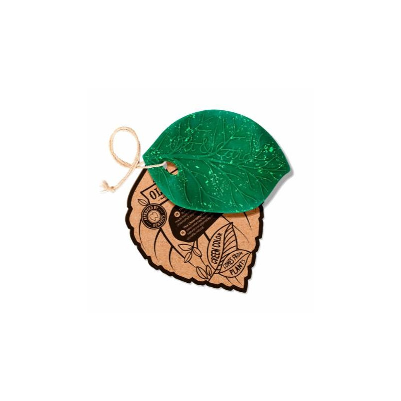 Feuille Chlorophylle