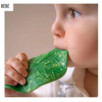 Feuille Chlorophylle