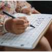 Le Carnet d'Activités