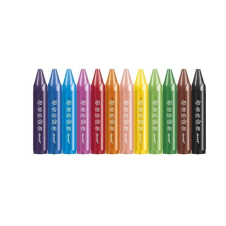 CRAYONS DE CIRE X12