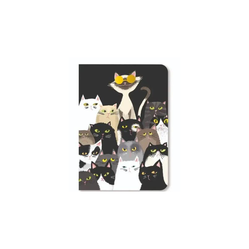 CARNET SOUPLE A6 MATOUS