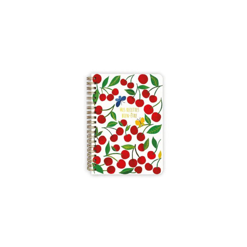 CARNET THÉMATIQUE MES RECETTES