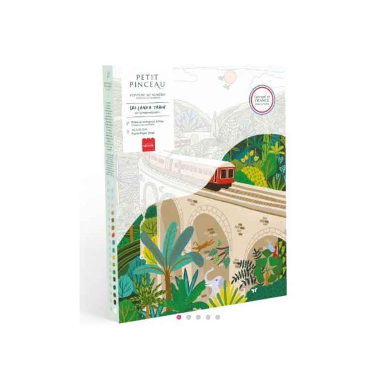 Coffret peinture au numéro - Sri- Lanka Train par Maja Tomljanovic