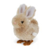 Jouet mécanique - Lapin