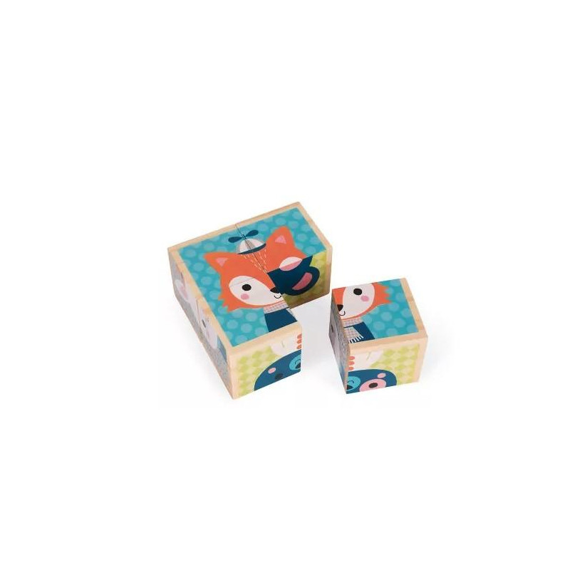 PREMIERS CUBES - PORTRAITS DE LA FORET