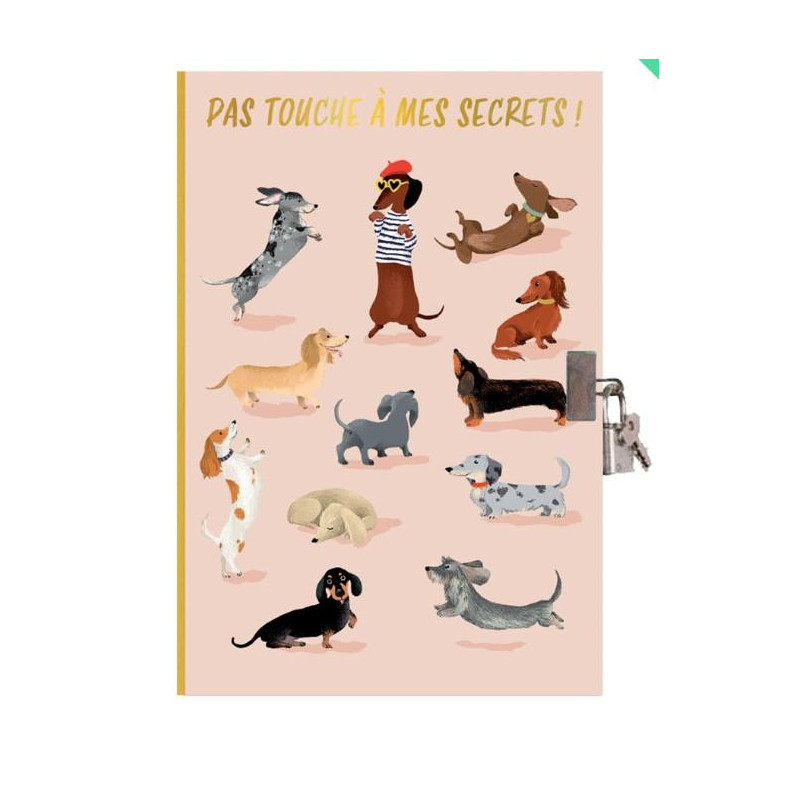 JOURNAL SECRET TECKELS