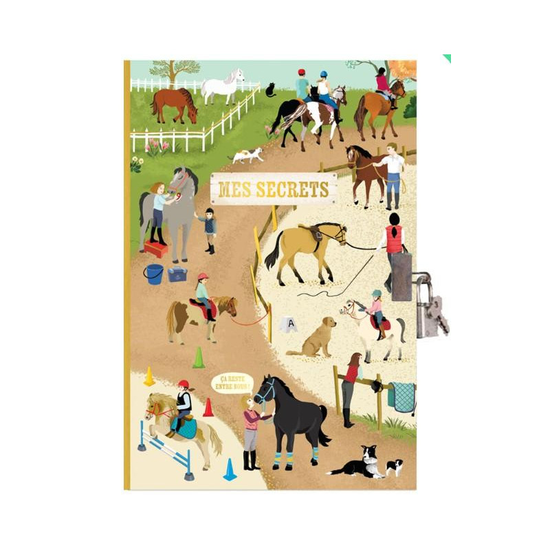 JOURNAL SECRET EQUITATION
