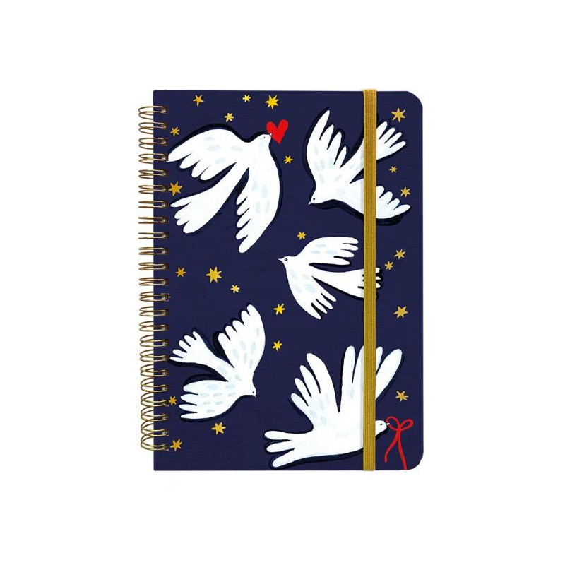 CARNET SPIRALES RIGIDE A5 COLOMBES