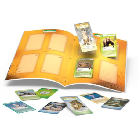 Album de classement - Couverture Panda Roux