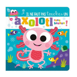 AXOLOTL-Capture d’ecran 2025-10-12 222534
