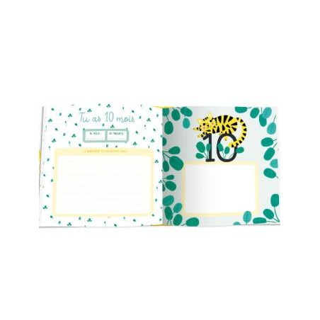 LIVRE DE NAISSANCE DE MON BEBE