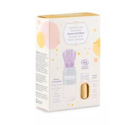 110105-Capture d’ecran 2025-11-25 140245