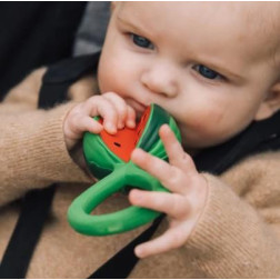 L-RATTLE-WATERMELON-Capture d’ecran 2025-12-05 135623