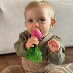 L-R-RADISH-Capture d’ecran 2025-12-05 135951