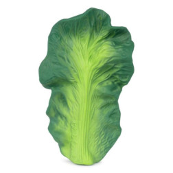 Kendall the Kale Anneau Dentition Bébé
