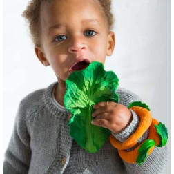 L-KALE-Capture d’ecran 2025-12-05 140406