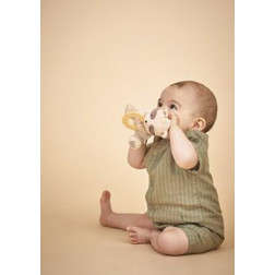 PELUCHE ANNEAU DENTITON RATON LAVEUR