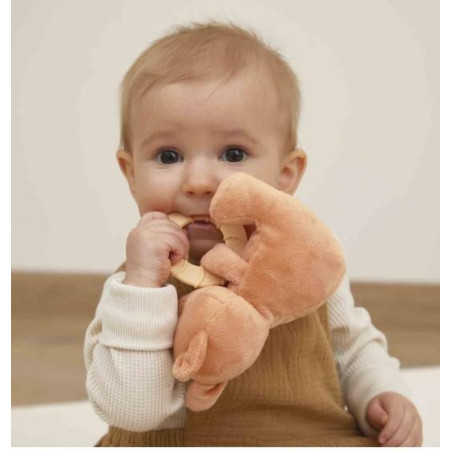 PELUCHE ANNEAU DENTITON ECUREUIL