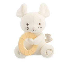 K208008-Capture d’ecran 2026-01-26 122842