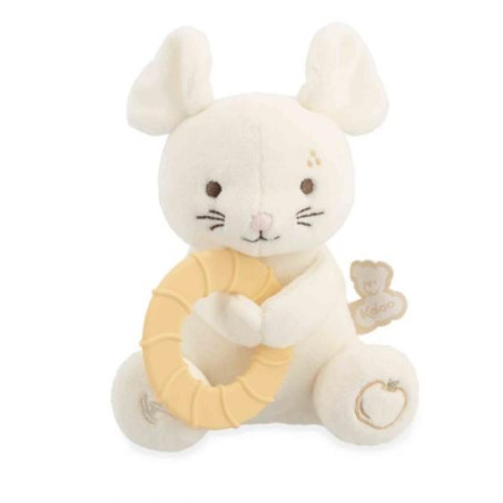 K208008-Capture d’ecran 2026-01-26 122842