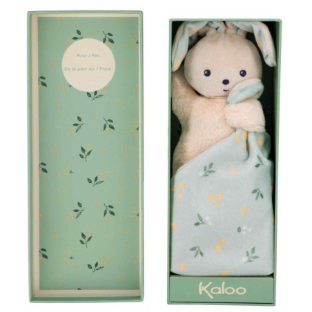 K972001-Capture d’ecran 2026-01-26 131141