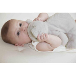 K206003-peluche-lestee-koala (6)